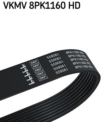 SKF V-Ribbed Belt VKMV 8PK1160 HD