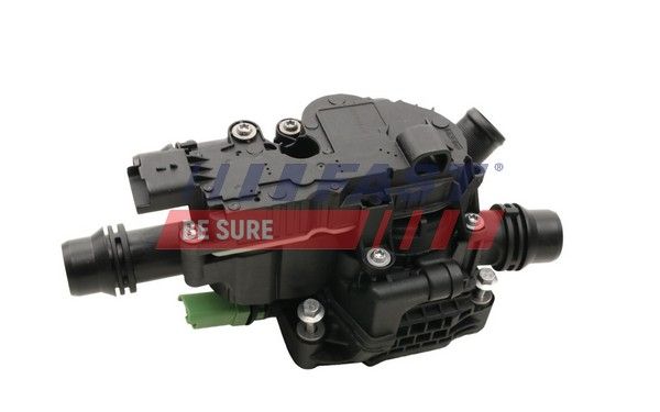 FT58055_2_1.JPG