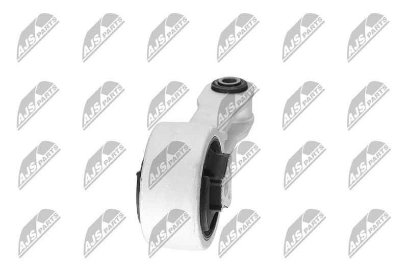 Paigutus, Mootor, NTY ZPS-CH-109