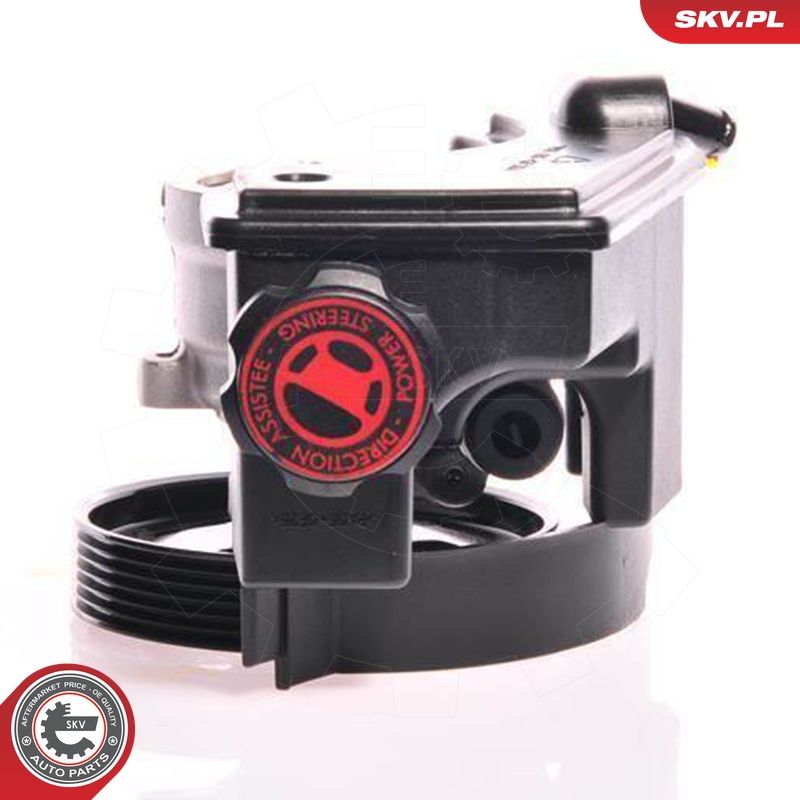 Hüdraulikapump, roolimine, ESEN SKV 10SKV153