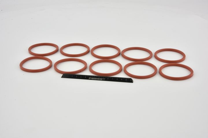 FEBEST RINGOL-066-PCS10