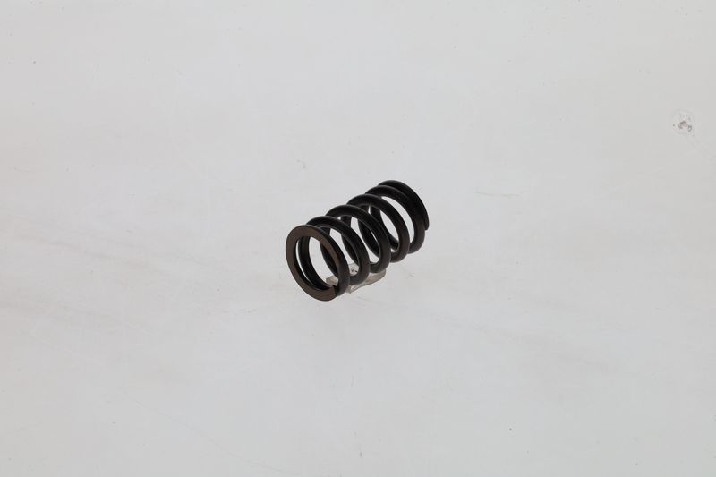 Arc 1 424 619 025 BOSCH