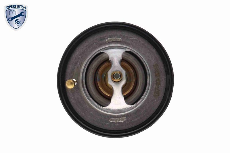 ACKOJA A37-99-0005 Thermostat, coolant