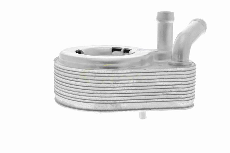 VEMO V48-60-0013 Oil Cooler, engine oil