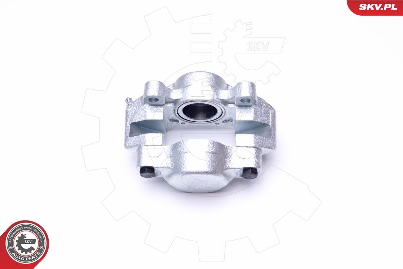 ESEN SKV 45SKV911 Brake Caliper