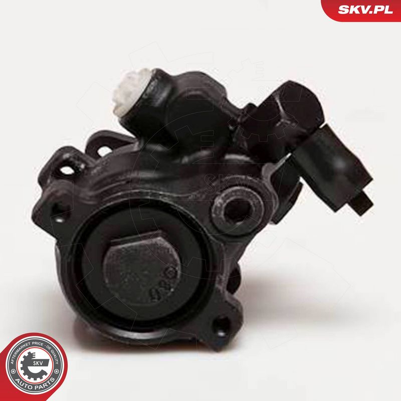 ESEN SKV 10SKV056 Hydraulic Pump, steering