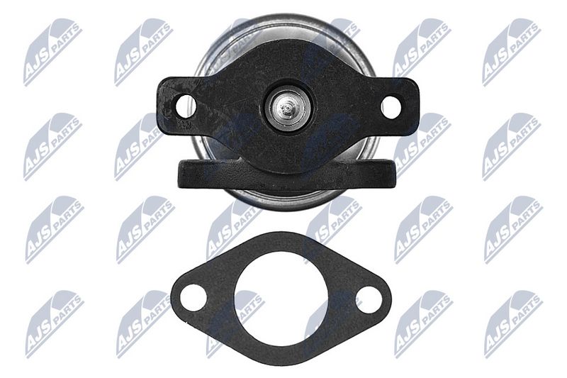 EGR-klapp, NTY EGR-AU-013