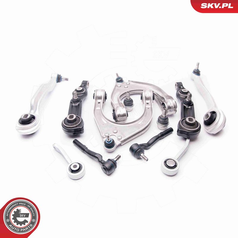 ESEN SKV 04SKV300 Repair Kit, control arm