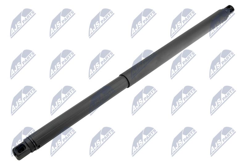 NTY AE-CH-054 Gas Spring, boot/cargo area