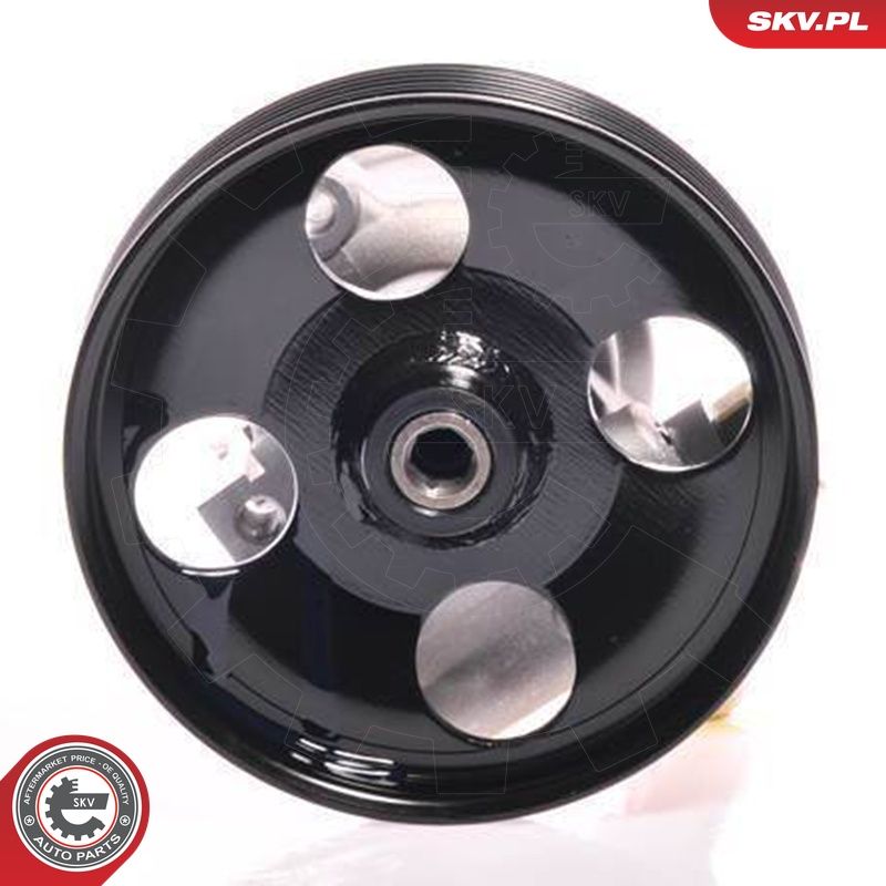 Hüdraulikapump, roolimine, ESEN SKV 10SKV156