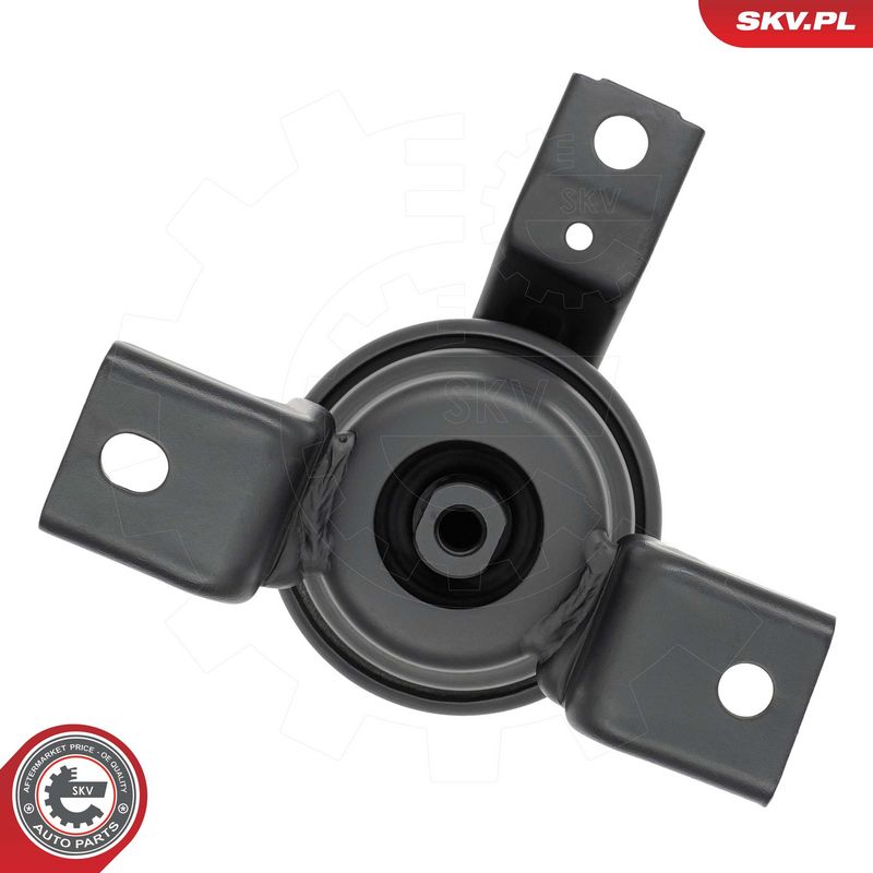 Paigutus, Mootor, ESEN SKV 75SKV276