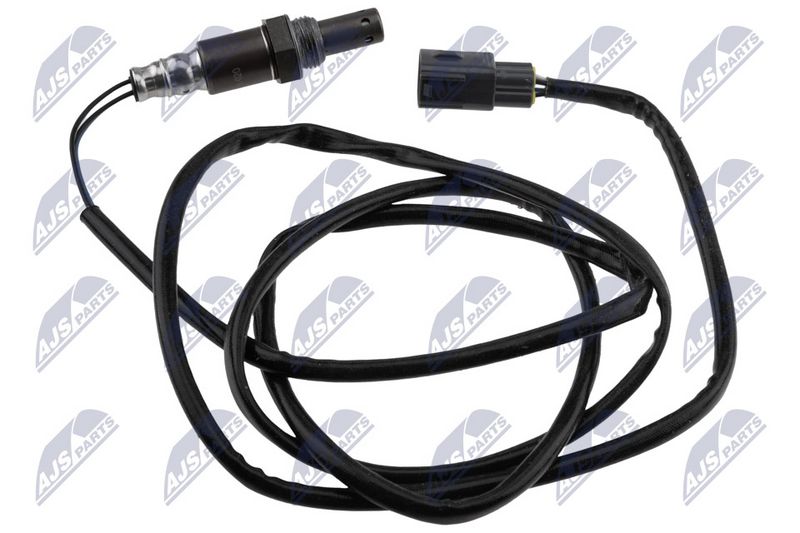 ESL-PL-020_1-WM.JPG