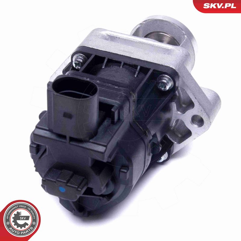 ESEN SKV 14SKV217 EGR vožtuvas