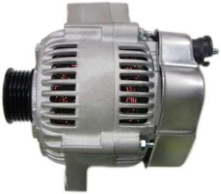 AG0784.JPG
