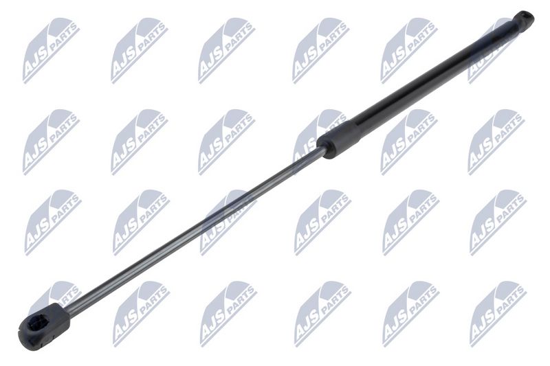 NTY AE-FT-044 Gas Spring, boot/cargo area