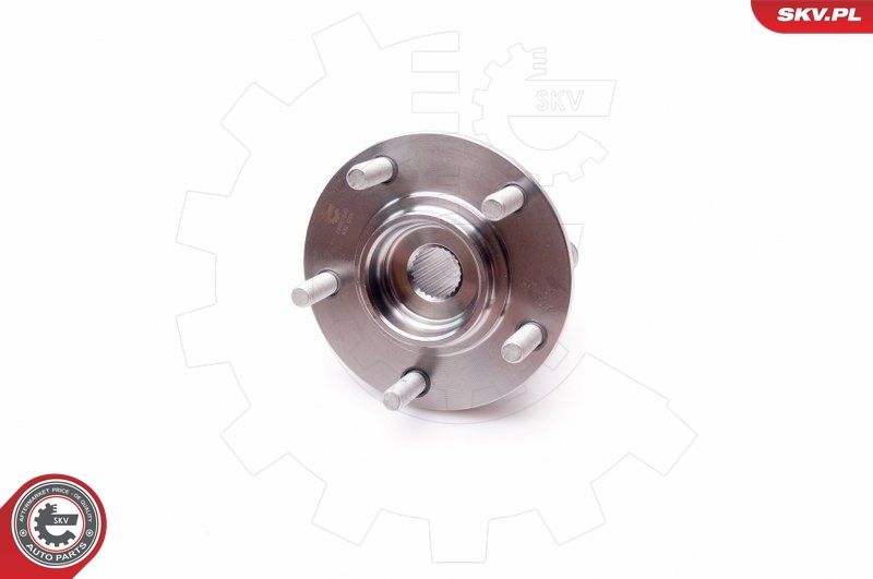 ESEN SKV 29SKV049 Wheel Bearing Kit