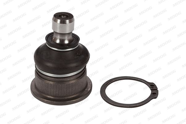 RE-BJ-2094_91777.JPG