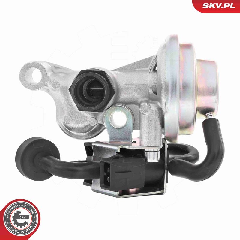 ESEN SKV 14SKV268 EGR Valve