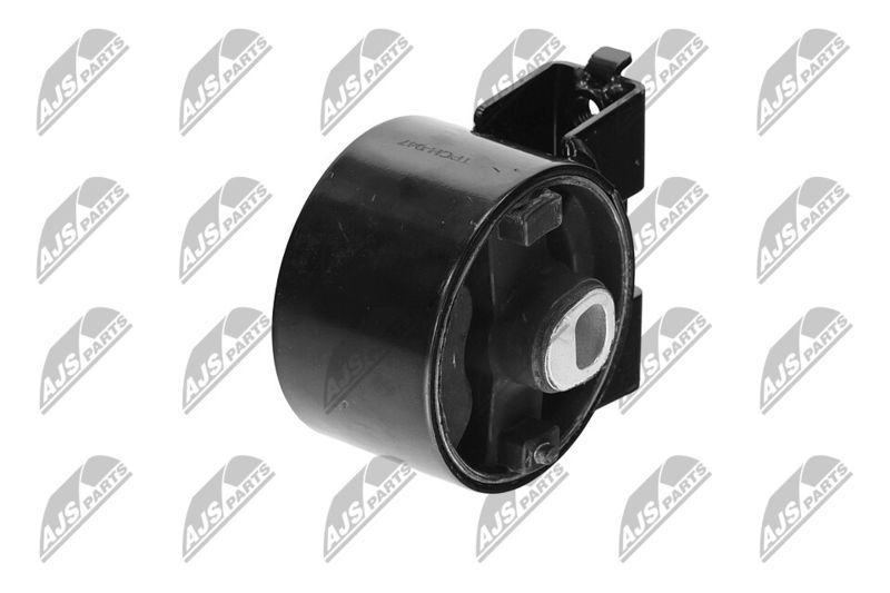 Paigutus, Mootor, NTY ZPS-CH-047