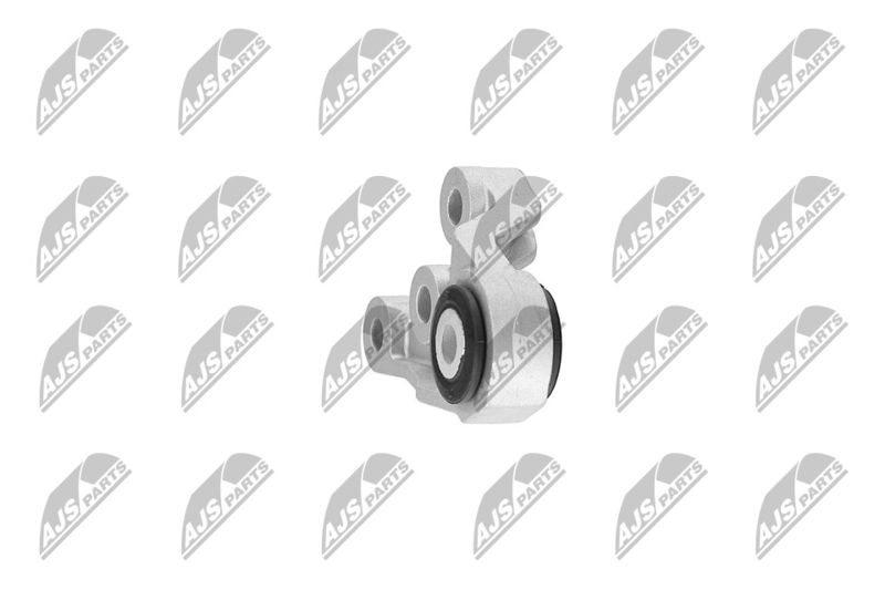 Paigutus, Mootor, NTY ZPS-CH-120