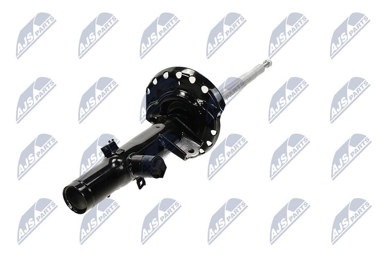 Amort, NTY A-LR-033