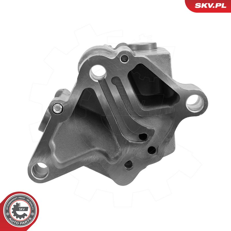 Mootori keti komplekt, ESEN SKV 21SKV276