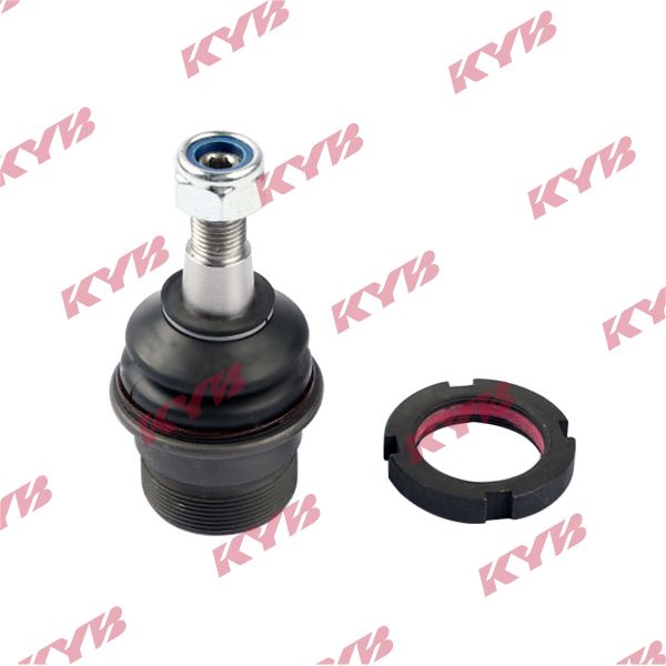 KYB-KBJ4452.JPG