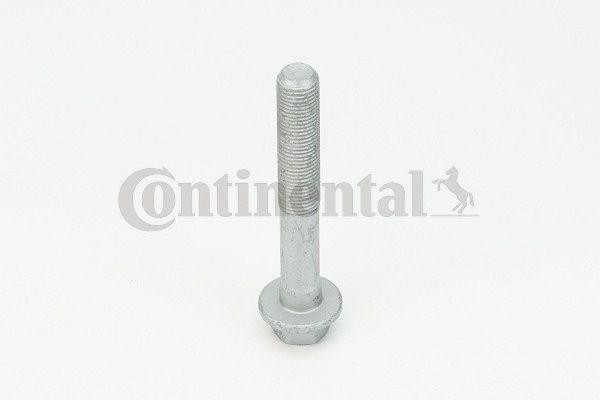 V49061.JPG