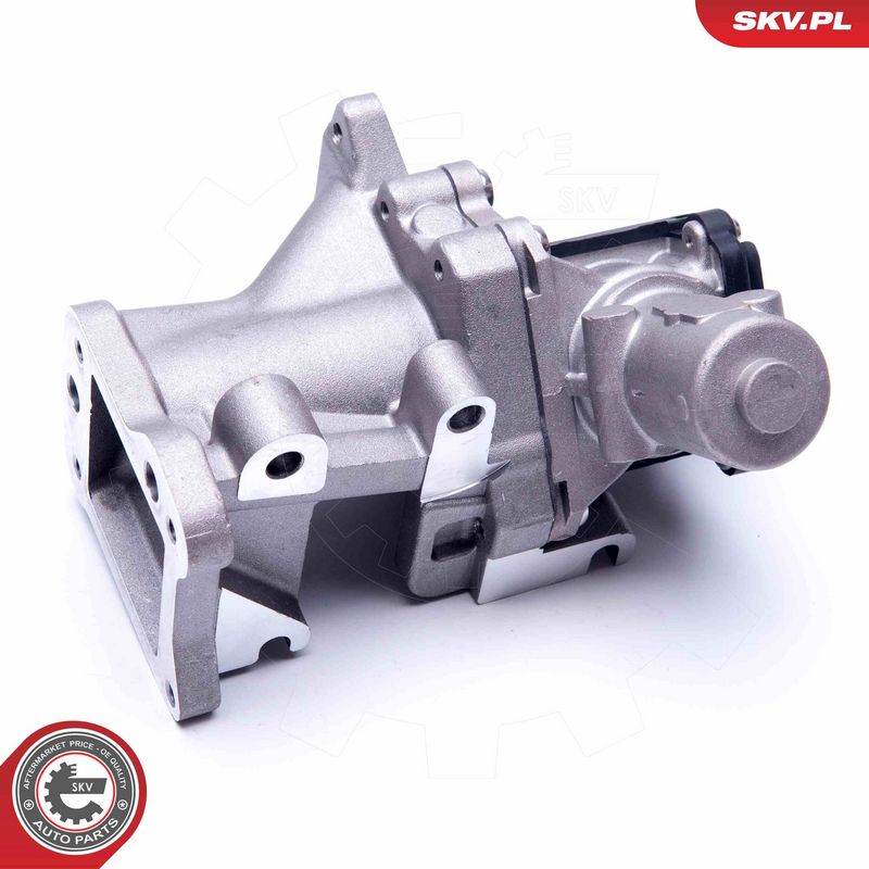 EGR-klapp, ESEN SKV 14SKV171