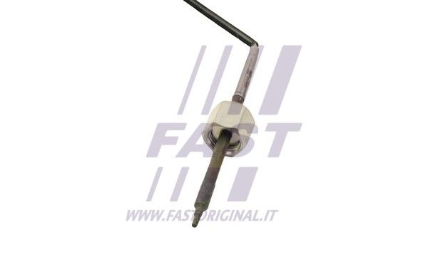 FT80282_2_1.JPG