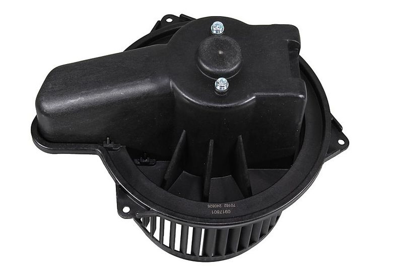 Prekės atitinka OEM kodą: 77366203