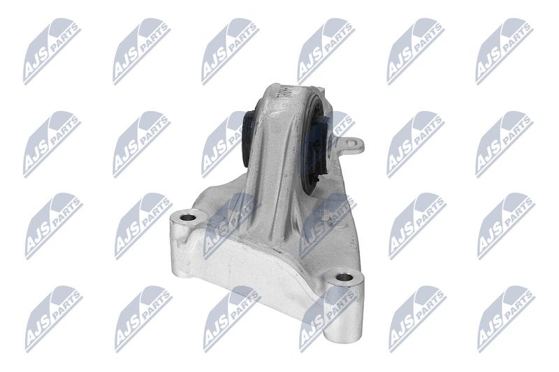 Paigutus, Mootor, NTY ZPS-CH-184