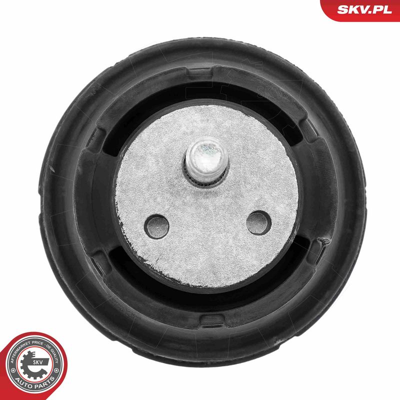 Paigutus, Mootor, ESEN SKV 75SKV188