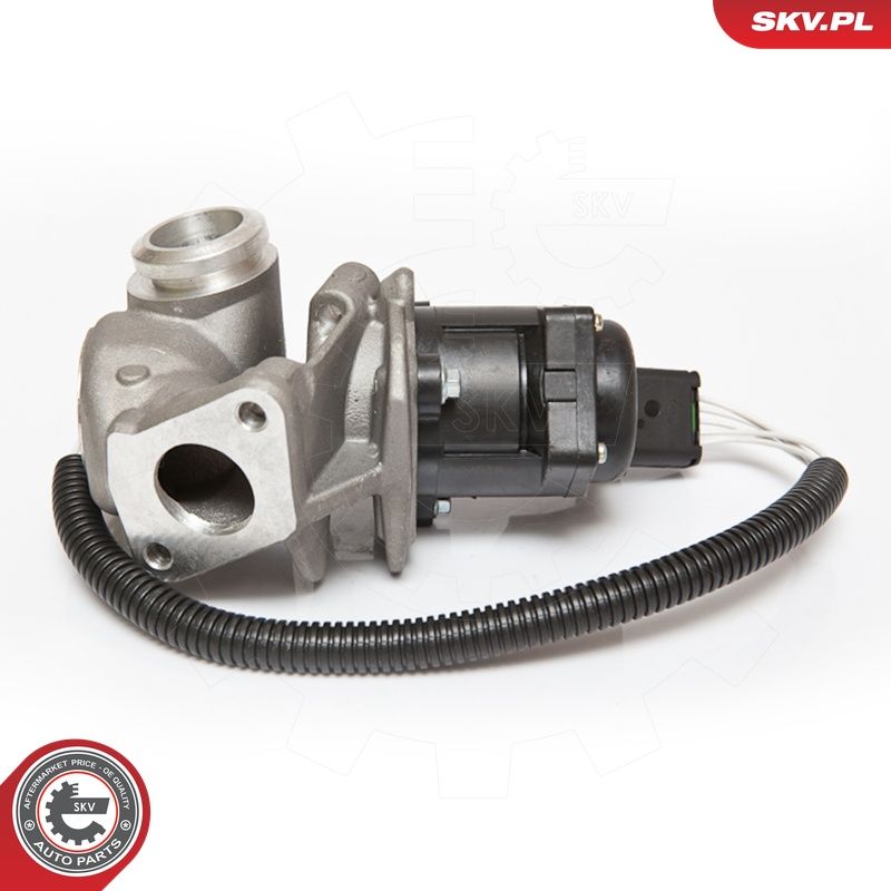 EGR-klapp, ESEN SKV 14SKV067