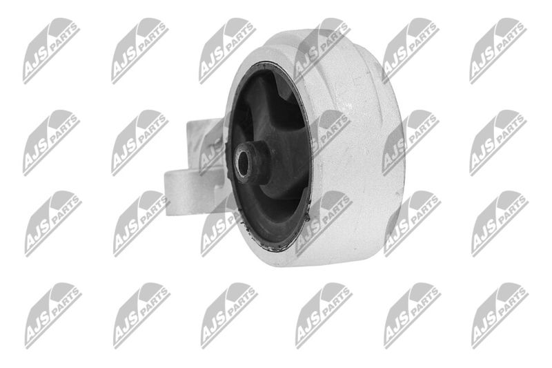 Paigutus, Mootor, NTY ZPS-KA-312