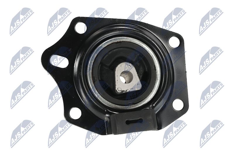 Paigutus, Mootor, NTY ZPS-CH-014