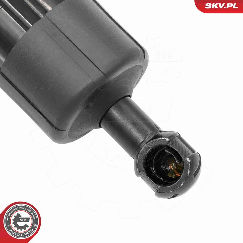 ESEN SKV 52SKV296 Electric Motor, tailgate