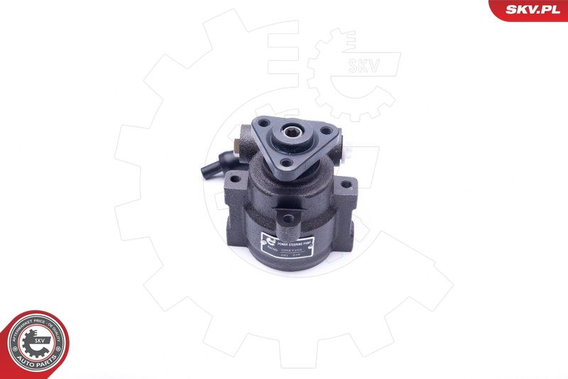 ESEN SKV 10SKV259 Hydraulic Pump, steering