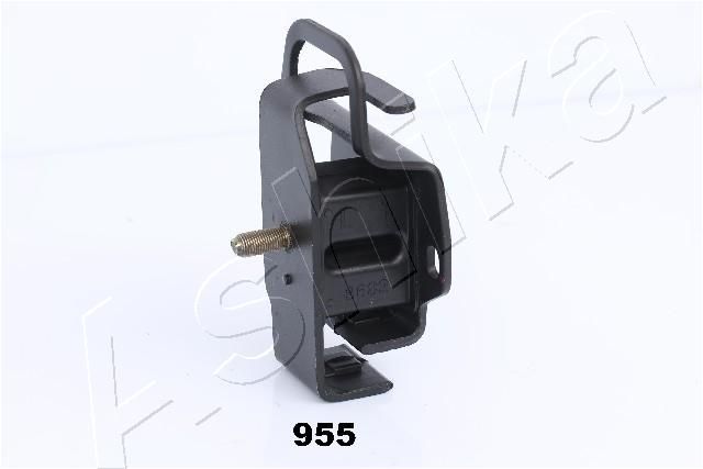 GOM-955_3.JPG
