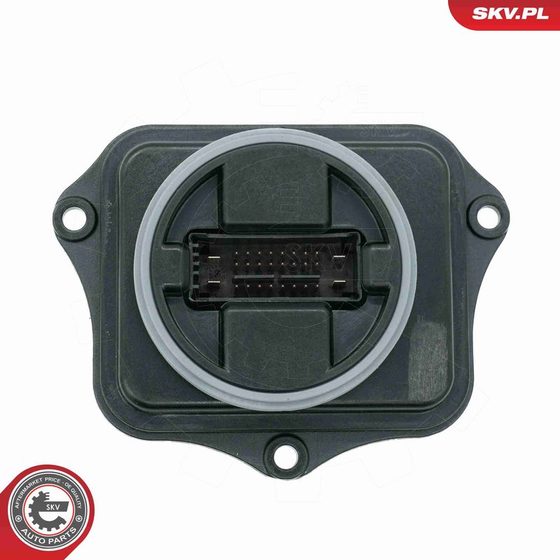 ESEN SKV 59SKV203 Control Unit, lights
