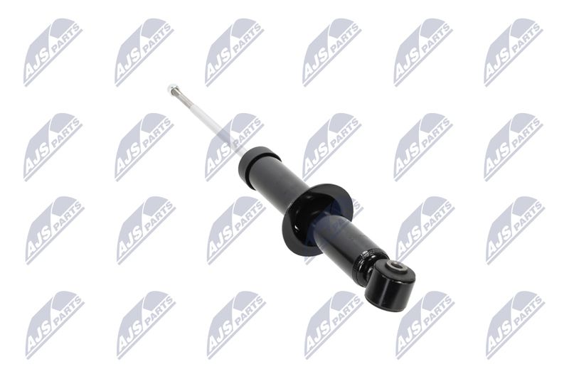 Amort, NTY A-CH-058