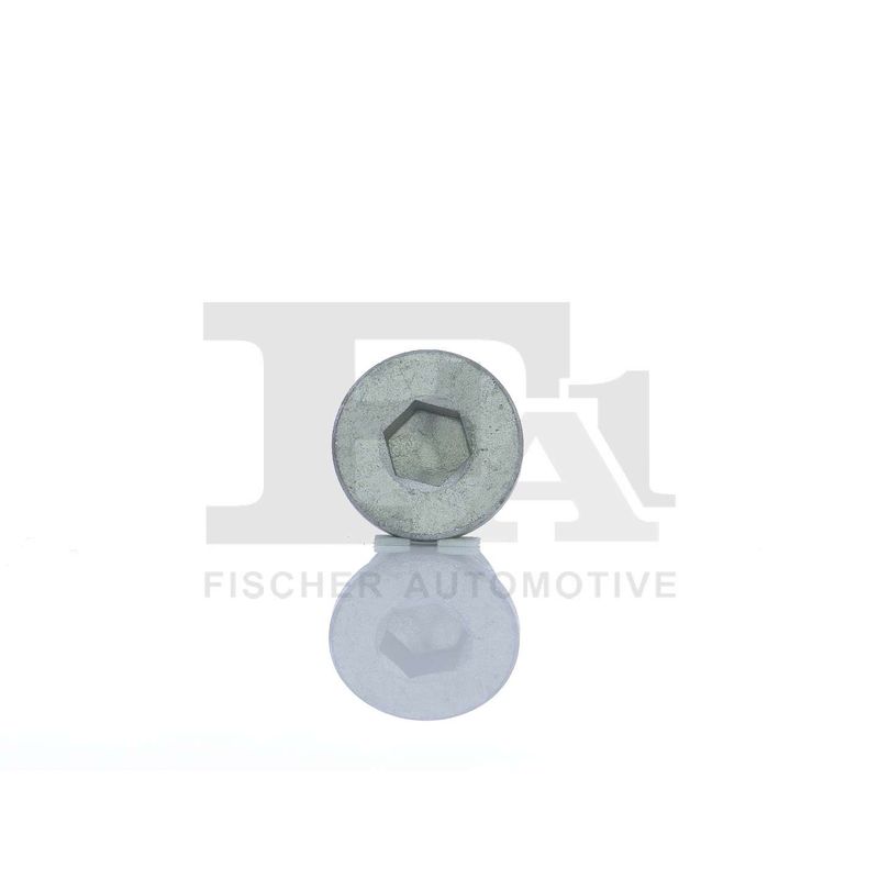 FA1 257.858.001 Screw Plug, oil sump