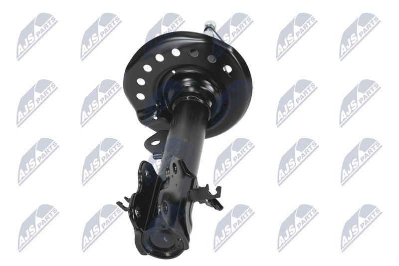 Amort, NTY A-NS-041
