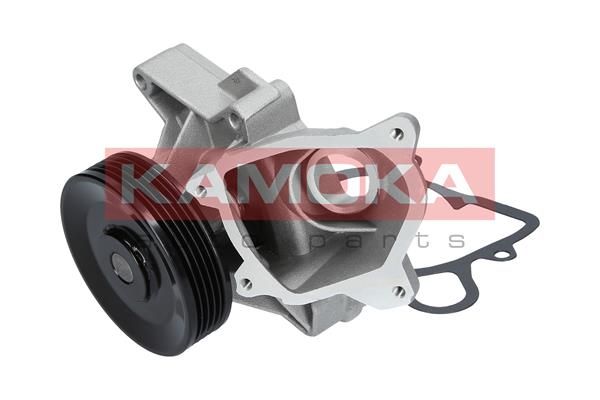 KAMOKA T0173 Water Pump, engine cooling