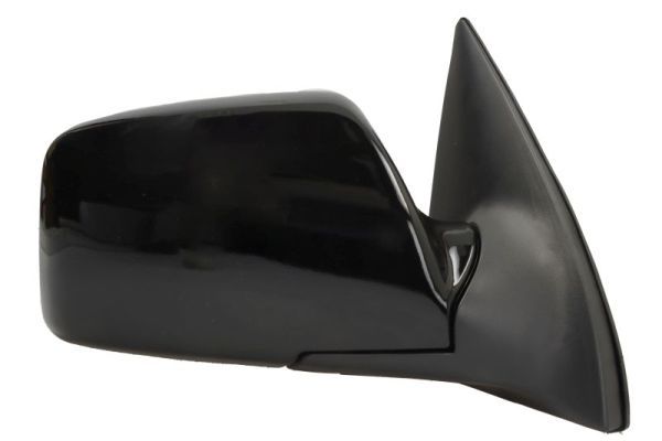 BLIC 5402-53-0670311P Exterior Mirror