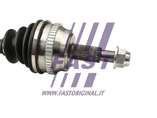 FT27191_2_1.JPG