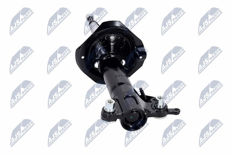Amort, NTY A-NS-016