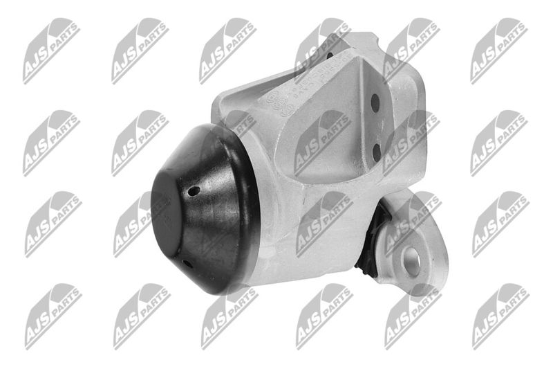 Paigutus, Mootor, NTY ZPS-FR-053