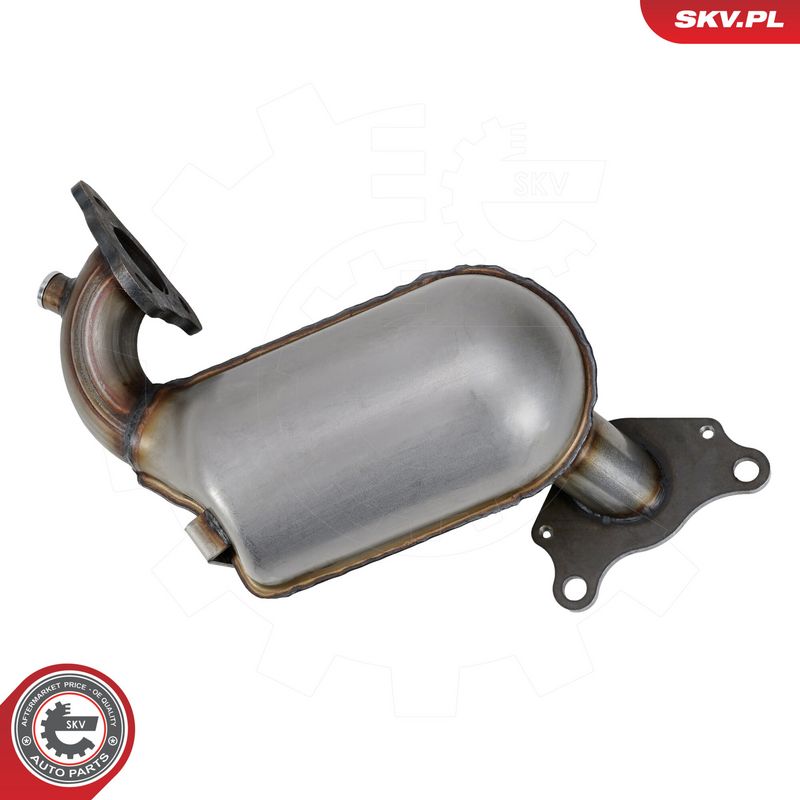 Prekės atitinka OEM kodą: 208A07923R