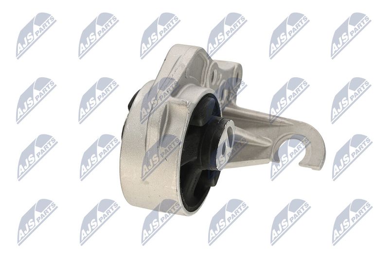 Paigutus, Mootor, NTY ZPS-CH-113